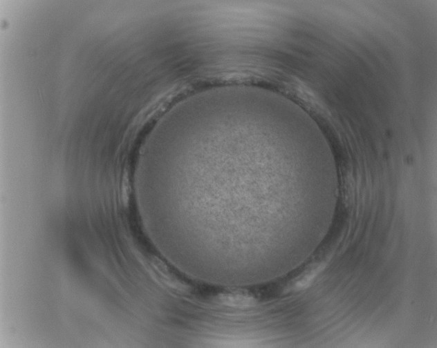 X0000065250644200602242051