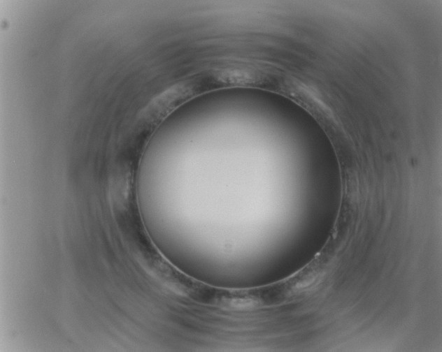 X0000065250645200602242051