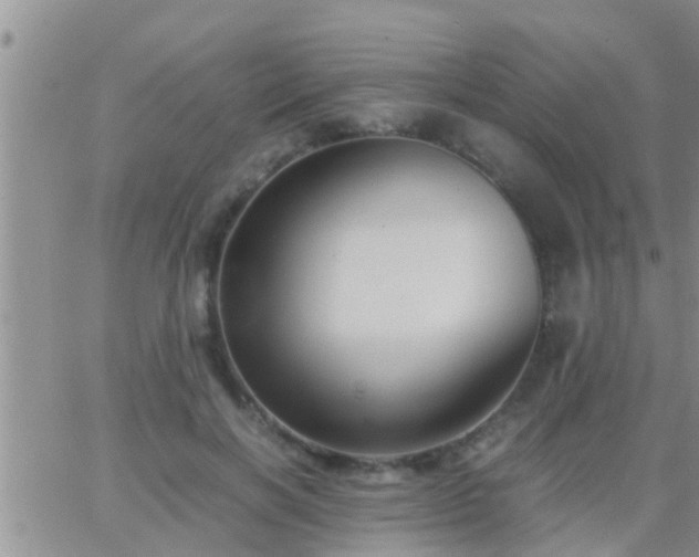 X0000065250646200602242051