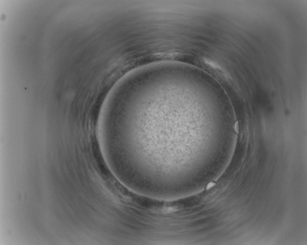 X0000065250647200602242051