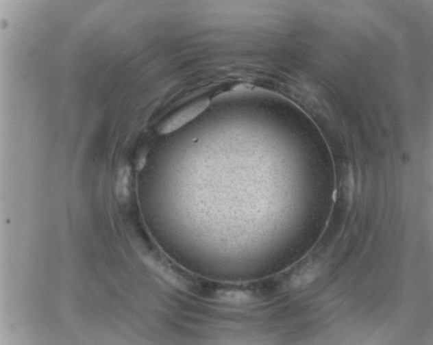 X0000065250649200602242051