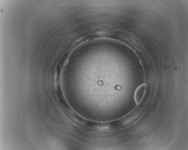 X0000065250651200602242051