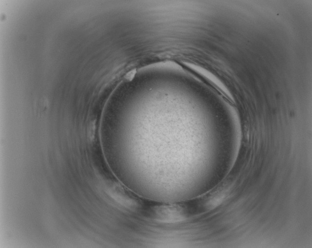 X0000065250652200602242051