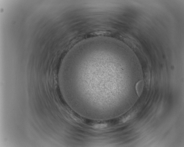 X0000065250653200602242051