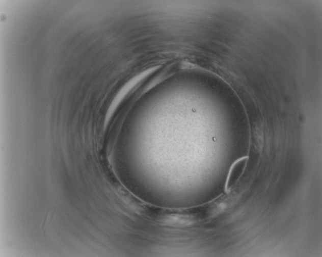 X0000065250657200602242051