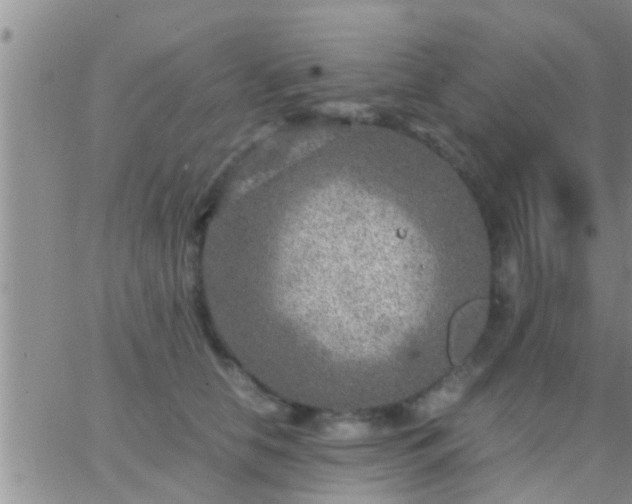 X0000065250658200602242051