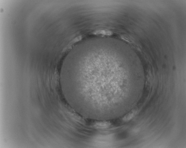 X0000065250659200602242051