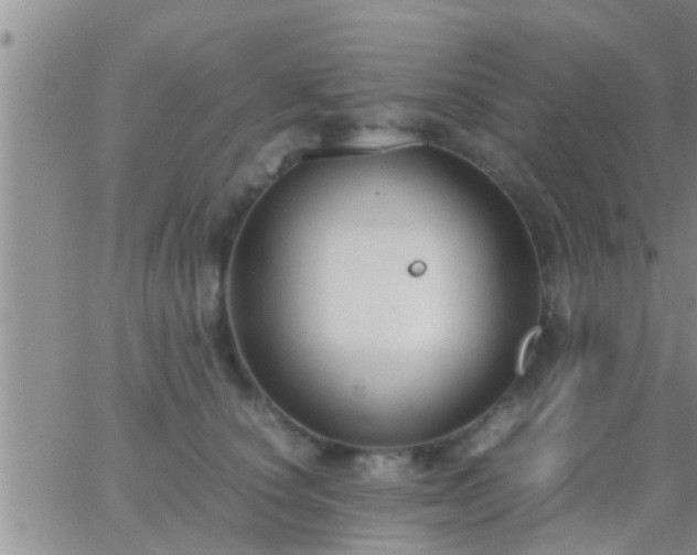 X0000065250660200602242051