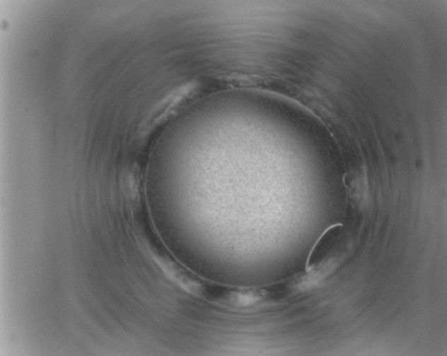 X0000065250662200602242051