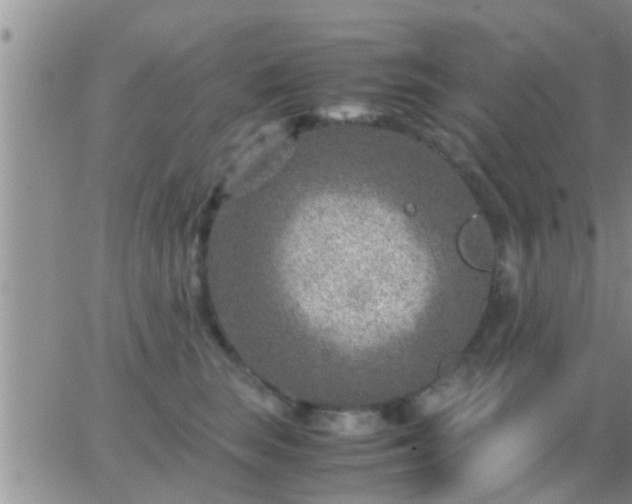 X0000065250663200602242051