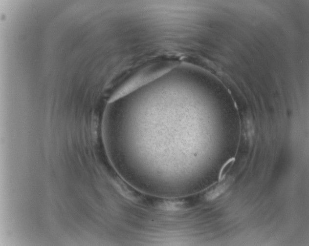 X0000065250664200602242051