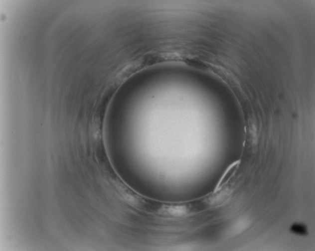 X0000065250665200602242051