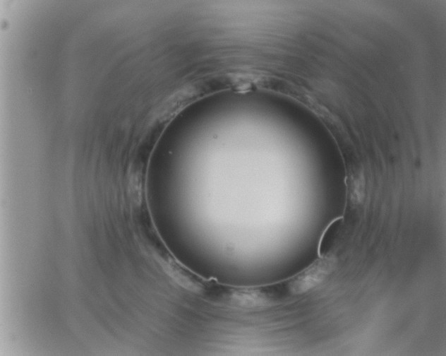 X0000065250666200602242051