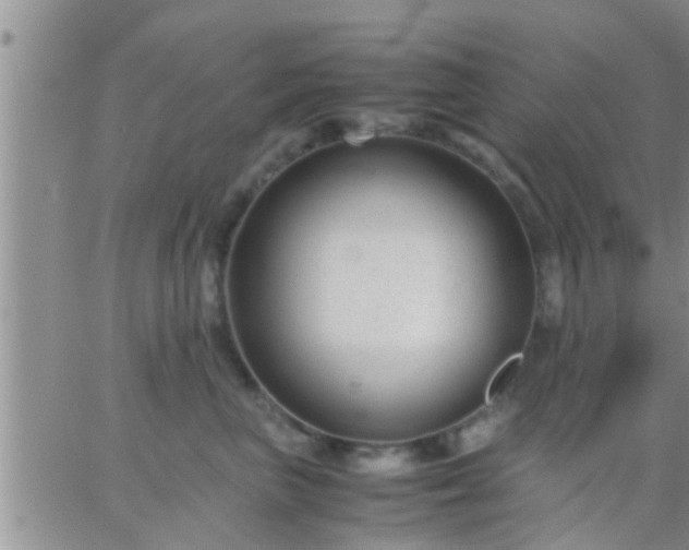 X0000065250667200602242051