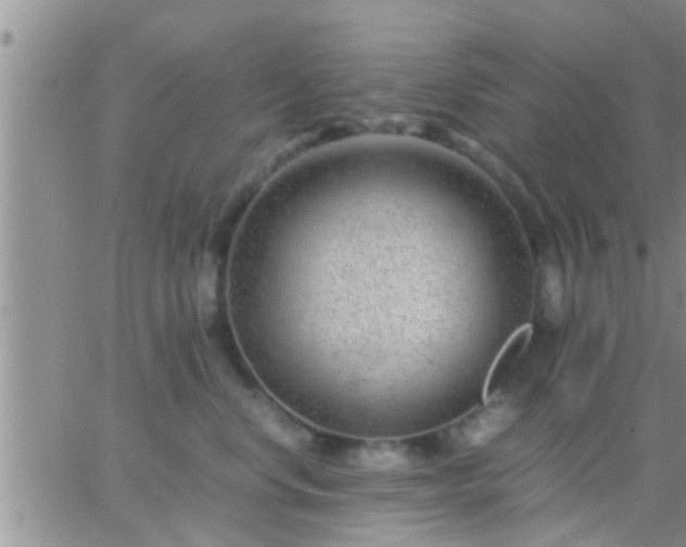 X0000065250668200602242051