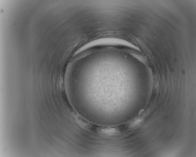 X0000065250669200602242051