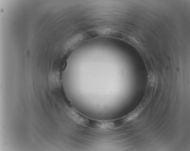 X0000065250670200602242051