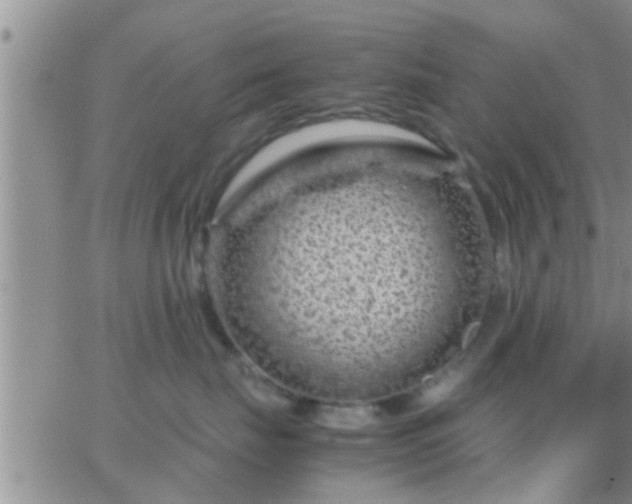 X0000065250671200602242051