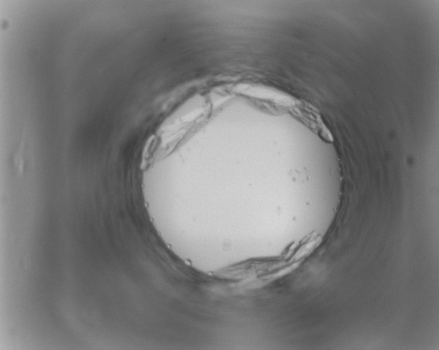 X0000065250672200602242051