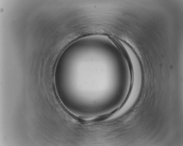 X0000065250673200602242050