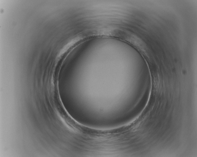 X0000065250674200602242050