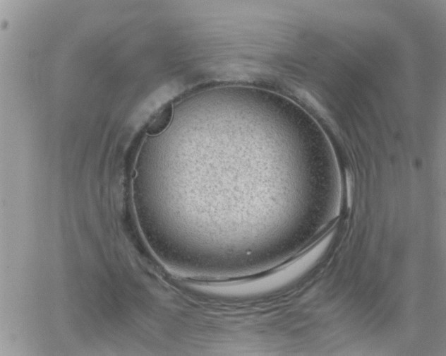 X0000065250675200602242050