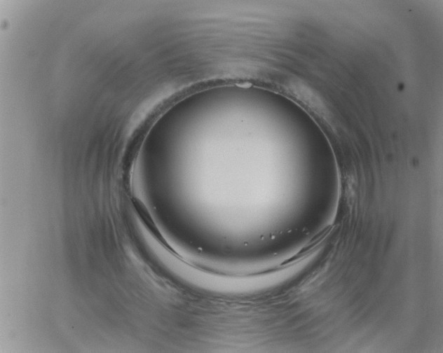 X0000065250676200602242050