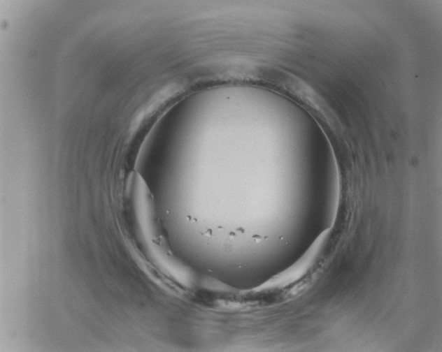 X0000065250677200602242050