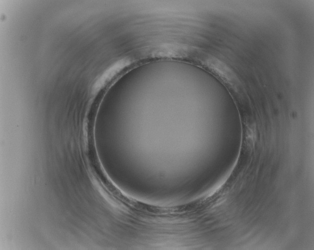 X0000065250678200602242050