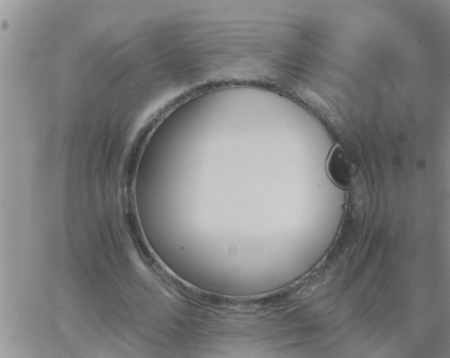 X0000065250680200602242050