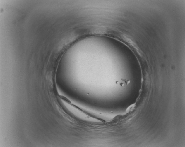 X0000065250681200602242050