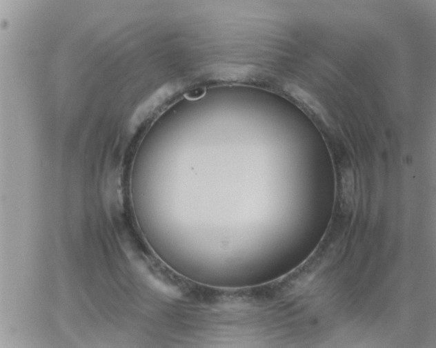 X0000065250682200602242050