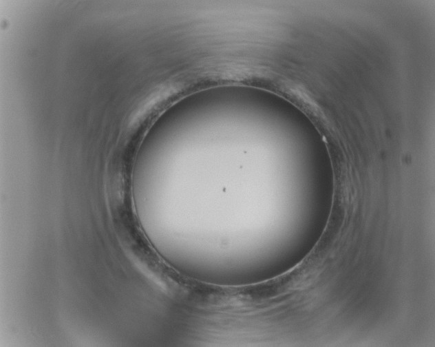 X0000065250683200602242050