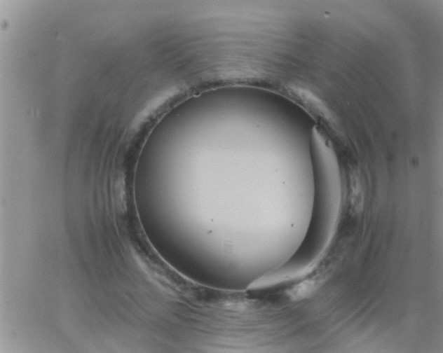 X0000065250684200602242050