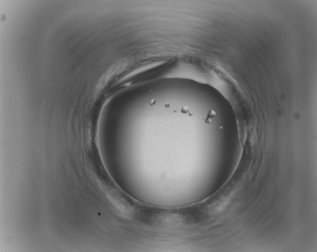 X0000065250685200602242050