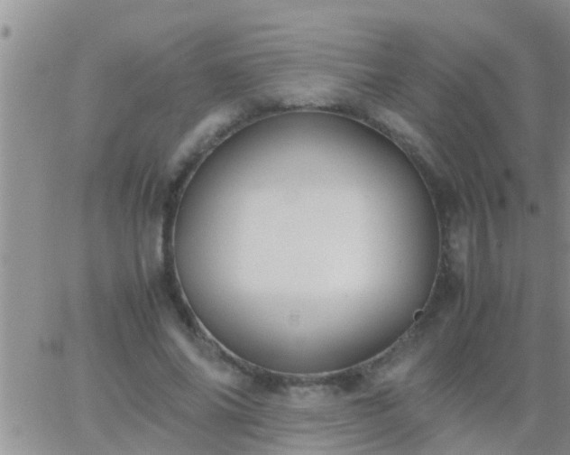 X0000065250686200602242050