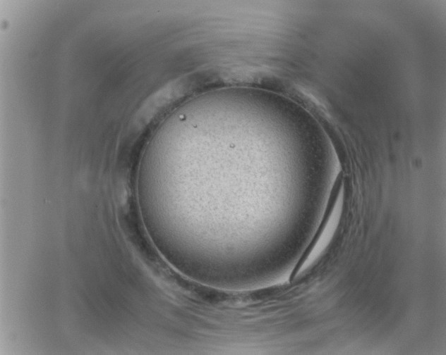 X0000065250687200602242050