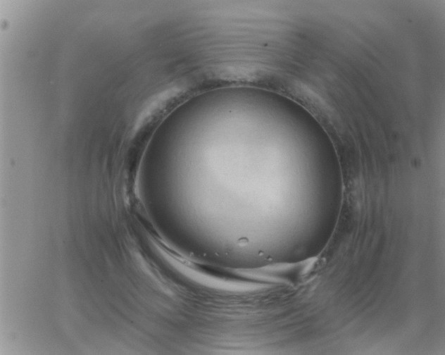 X0000065250688200602242050