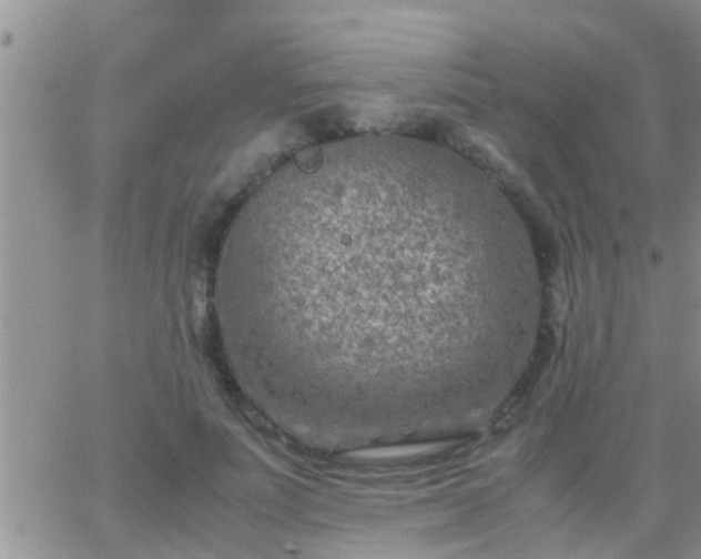 X0000065250691200602242050