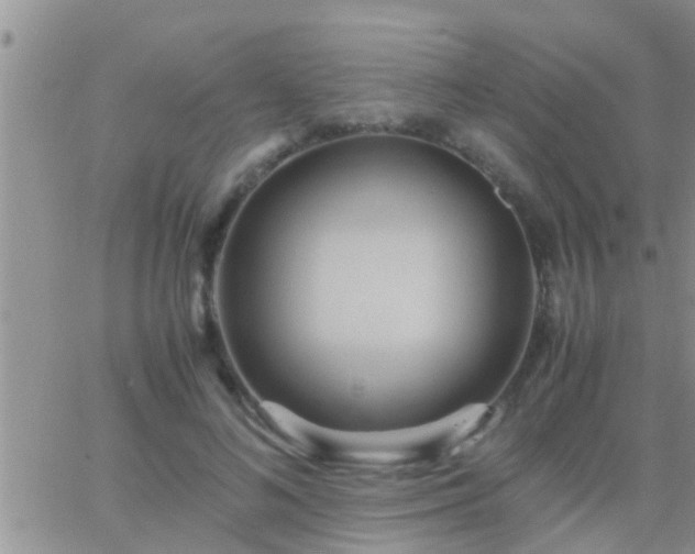 X0000065250692200602242050