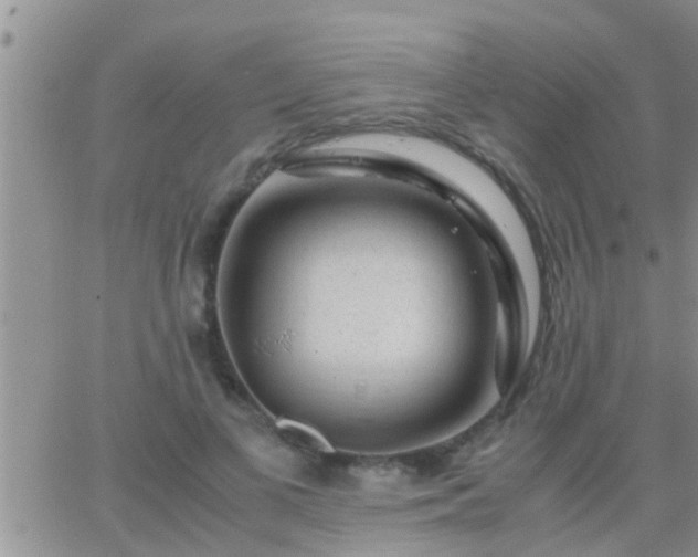 X0000065250693200602242050