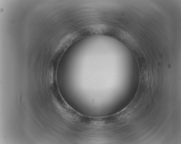 X0000065250694200602242050