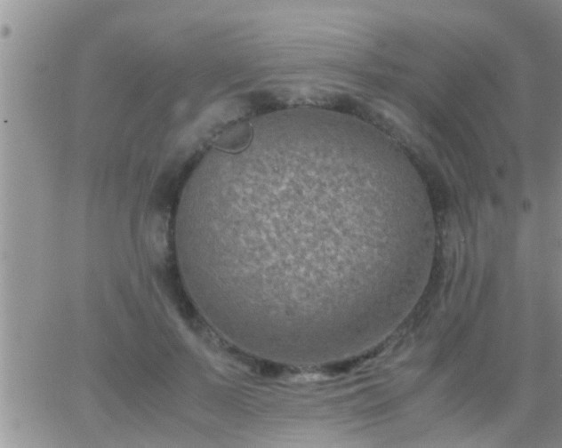 X0000065250695200602242050