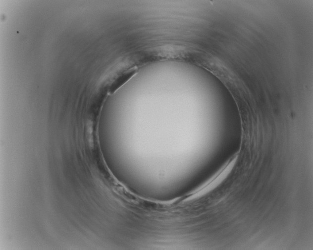 X0000065250696200602242050