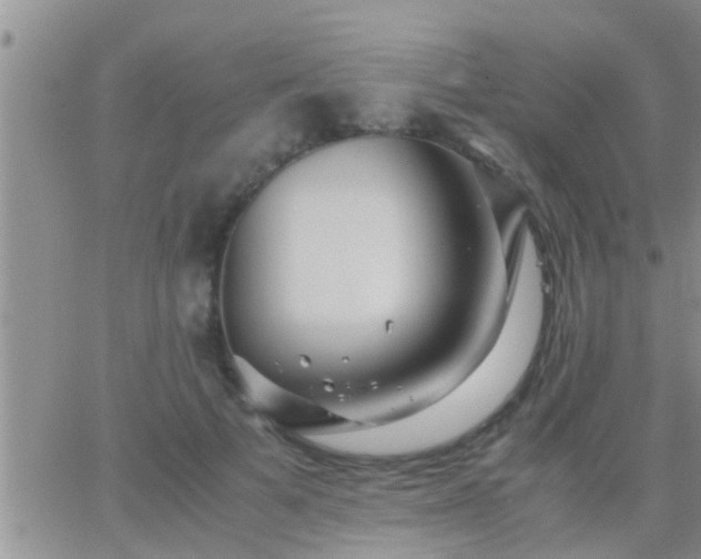 X0000065250697200602242050