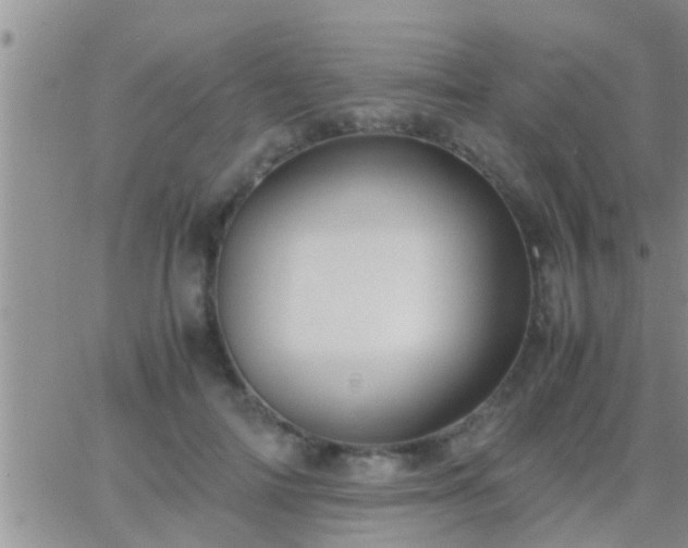 X0000065250698200602242050