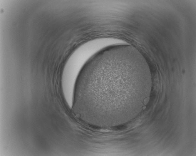 X0000065250699200602242050