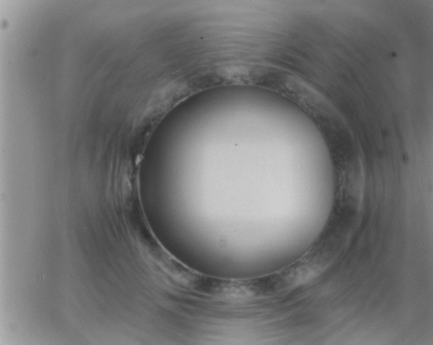 X0000065250702200602242050