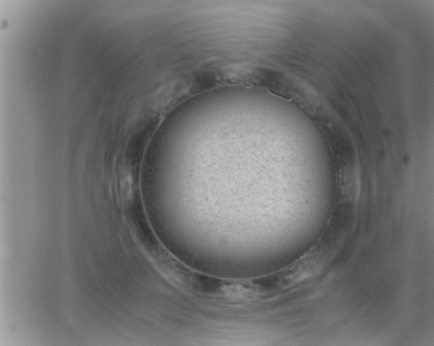 X0000065250703200602242050