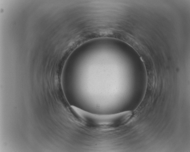 X0000065250704200602242050